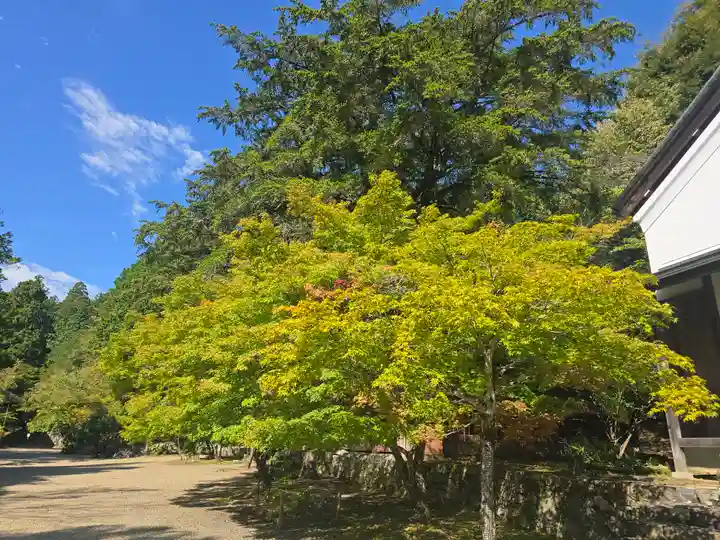 神護寺(京都府)