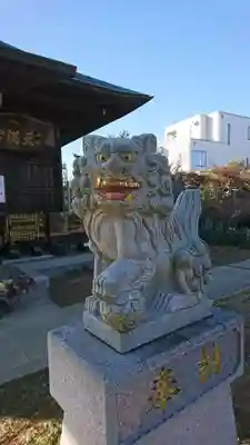 井野天満神社の狛犬