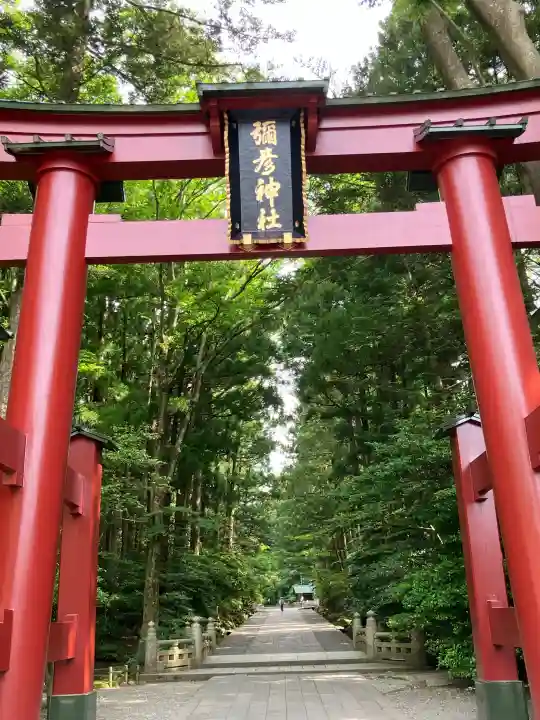彌彦神社(新潟県)