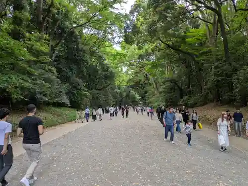 明治神宮(東京都)