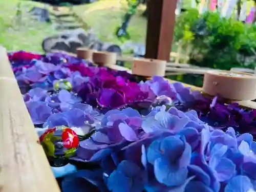 土津神社｜こどもと出世の神さまの手水