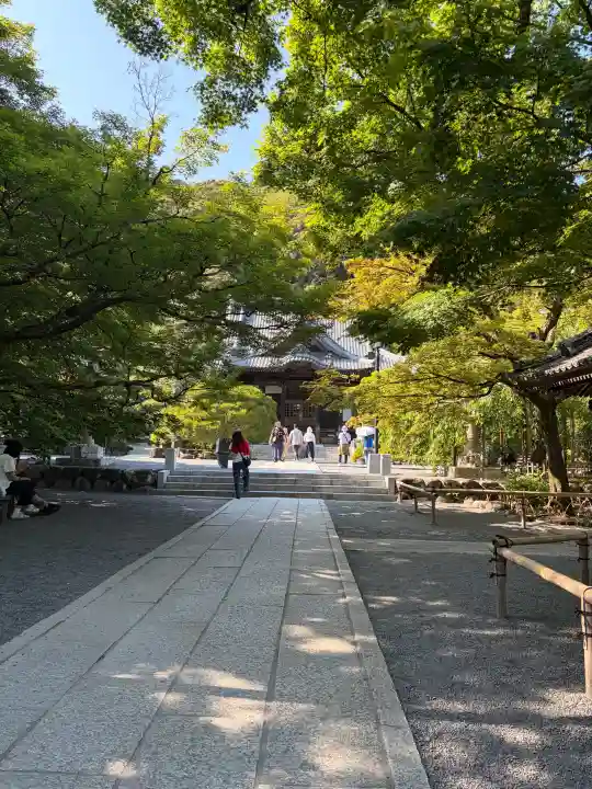 修禅寺の{uncategorized: "未分類", other: "その他", undefined: "問題あり", building: "その他建物", grave: "お墓", sacred_gate: "鳥居", guardian: "狛犬", statue: "像", buddha: "仏像", history: "歴史", nature: "自然", garden: "庭園", animal: "動物", pagoda: "塔", temizu: "手水舎", mountain_gate: "山門・神門", sanctuary: "本殿・本堂", subordinate: "末社・摂社", art: "芸術", scenery: "景色", jizo: "地蔵", ema: "絵馬", goshuin: "御朱印", omikuji: "おみくじ", items: "授与品その他", amulet: "お守り", goshuincho: "御朱印帳", eats: "食事", festival: "お祭り", votive_dance: "神楽", shichigosan: "七五三参", wedding: "結婚式", experience: "体験その他", initially: "初詣", around: "周辺", anti_infection: "感染症対策"}