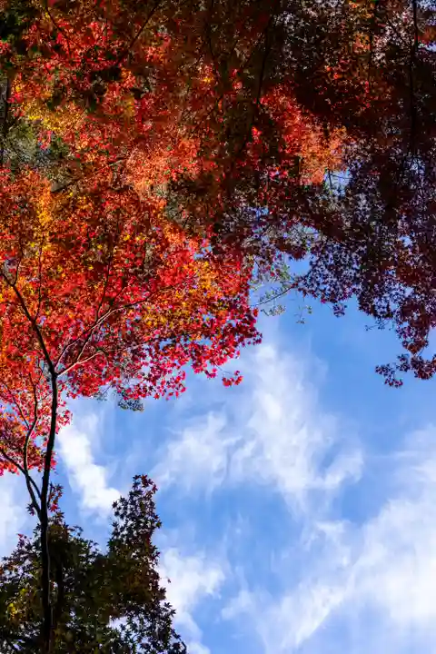 大矢田神社(岐阜県)