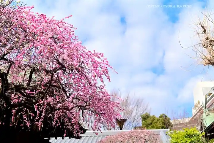 五條天神社(東京都)