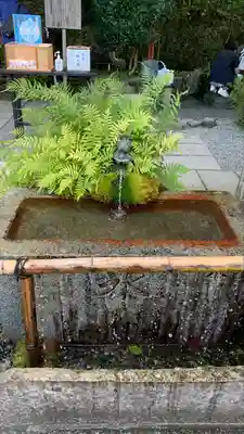 出雲大神宮の手水舎