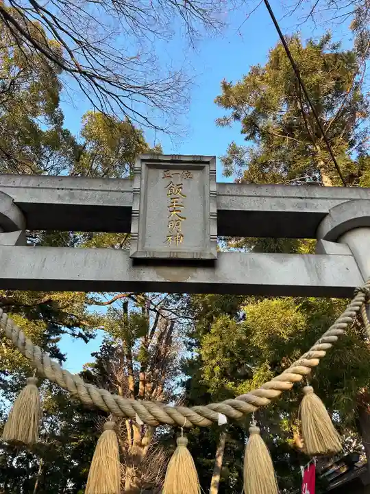 開運招福 飯玉神社(群馬県)
