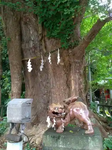 海南神社の狛犬