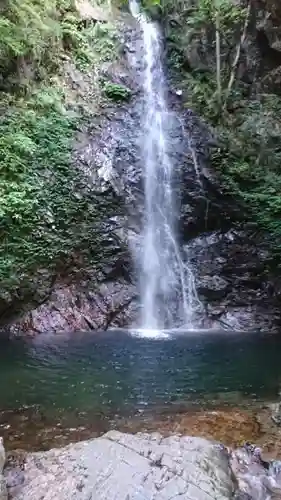 武蔵御嶽神社の自然