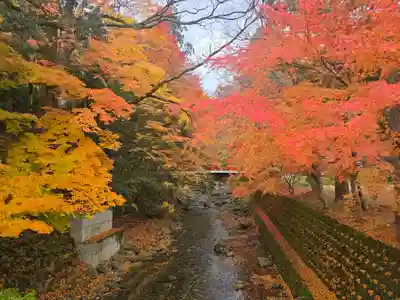 地主神社(滋賀県)