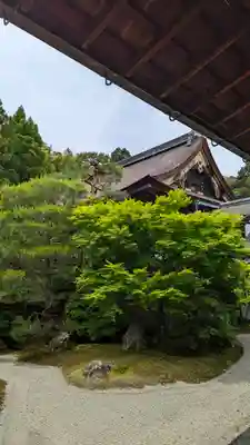 御寺 泉涌寺(京都府)