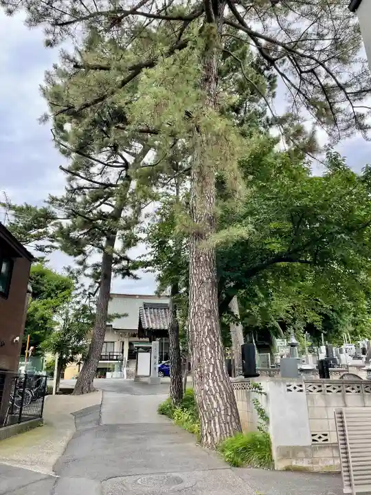 医王寺(埼玉県)