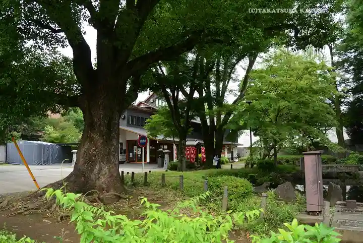 増上寺塔頭 三縁山 宝珠院(東京都)