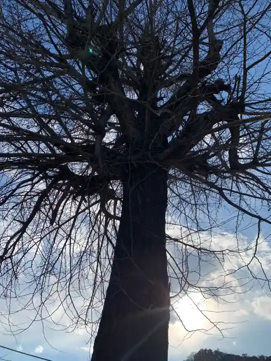 小松神社(栃木県)