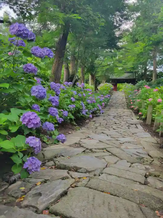 本光寺(愛知県)