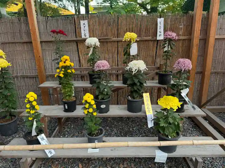 諏訪大社下社秋宮(長野県)