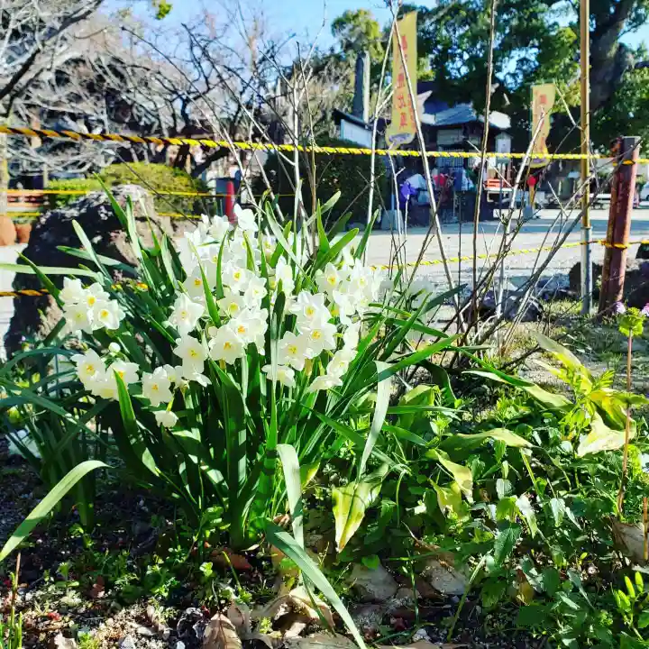 牛嶋天満宮の自然