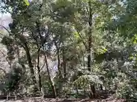 賀茂御祖神社(下鴨神社)の自然