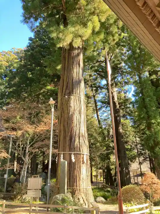 河口浅間神社(山梨県)