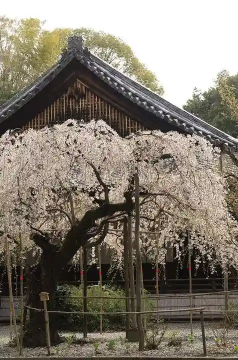 水無瀬神宮(大阪府)