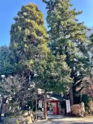 大國魂神社(東京都)