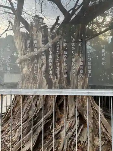 長浜神社(島根県)