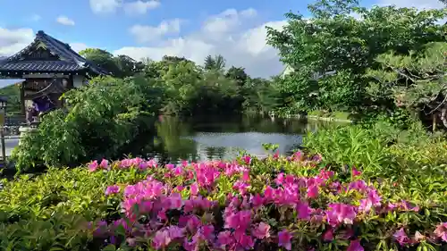 神泉苑(京都府)
