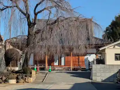 長明寺(東京都)