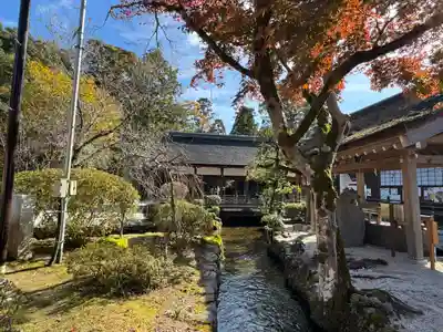 賀茂別雷神社（上賀茂神社）(京都府)