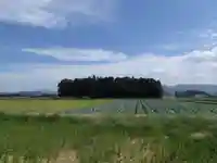 小社神社(皇大神宮末社)の自然