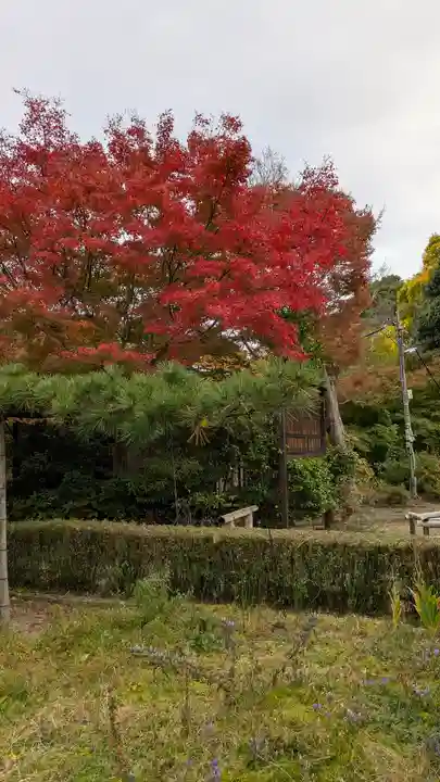 神應寺(京都府)