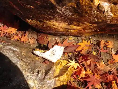 宝厳寺(滋賀県)