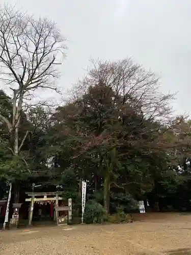手力雄神社(岐阜県)