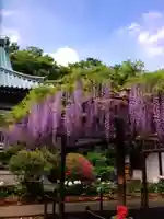 愛染院(東京都)