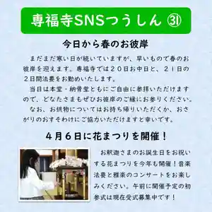 雨竜 専福寺(北海道)(2025年03月17日(月) 19時36分47秒投稿)