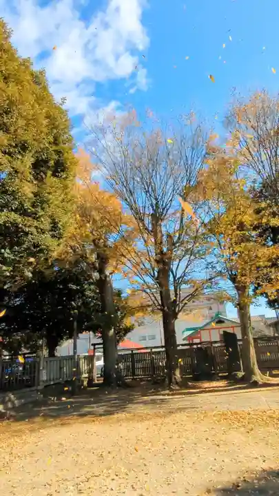 八雲神社 (通五丁目)の自然
