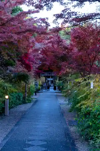 梨木神社(京都府)