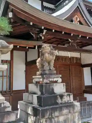 京都ゑびす神社(京都府)