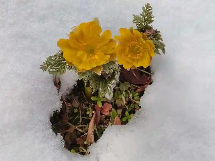 関場神社(福島県)