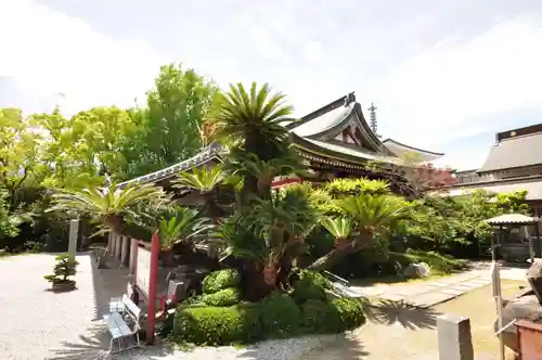 温泉山 安楽寺(四国霊場第六番札所)のその他建物