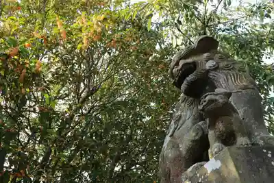 豊景神社の狛犬