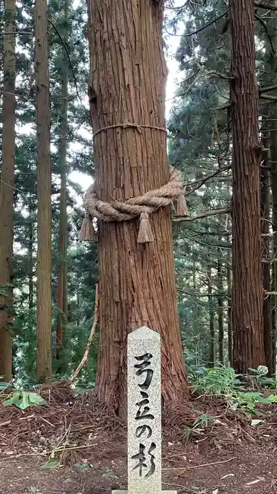 御賀八幡宮の自然