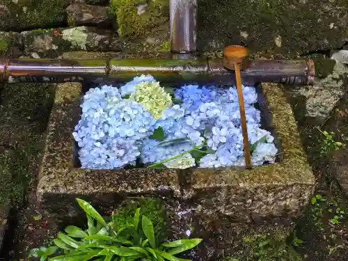 瓦屋寺(滋賀県)