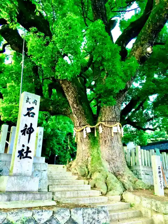 石神社の自然
