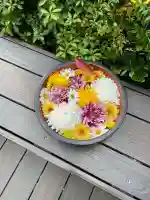 増上寺塔頭 三縁山 宝珠院(東京都)