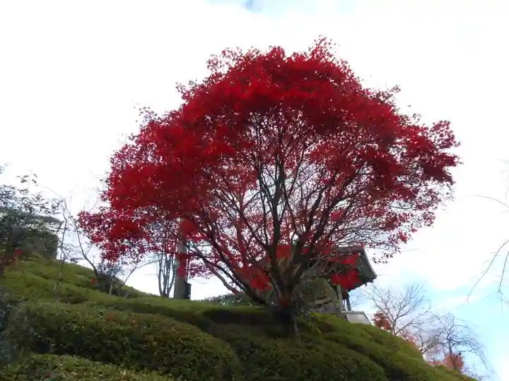 善峯寺(京都府)
