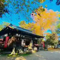 村屋坐弥冨都比売神社(奈良県)