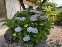 美奈宜神社(福岡県)