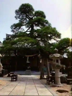 瑞光寺(東京都)