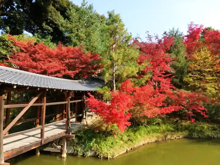 高台寺(高台寿聖禅寺・高臺寺)(京都府)