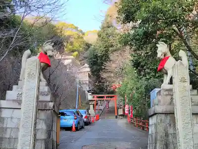 諏訪神社・諏訪山稲荷神社の狛犬